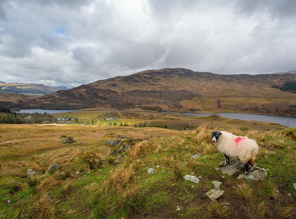 Why You Should Visit Scotland in Autumn